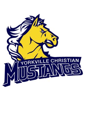 Yorkville Christian Mustangs