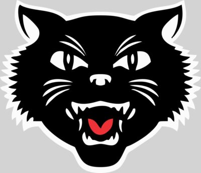Tomcat Head