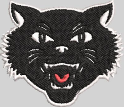 Tomcat Head
