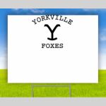 Yard Signs Thumbnail