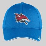 Dri FIT Mesh Swoosh Flex Sandwich Cap Thumbnail